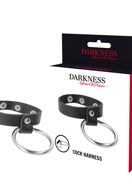 DARKNESS - ANELLO IN METALLO PER PENE E TESTICOLI