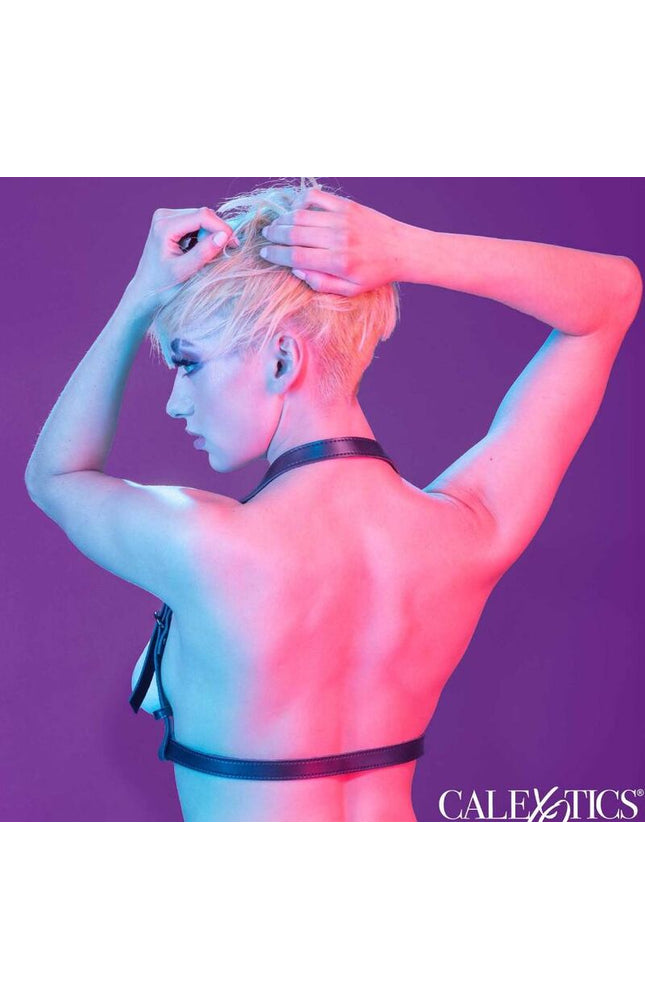 CALEXOTICS - EUPHORIA IMBRACATURA CON FIBBIA HALTER NERA