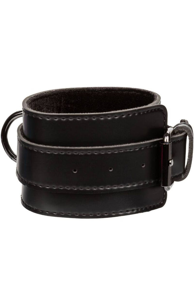 CALEXOTICS - EUPHORIA POLSINI