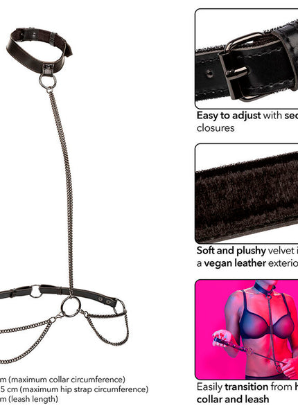 CALEXOTICS - EUPHORIA COLLARE A CATENA E GUINZAGLIO