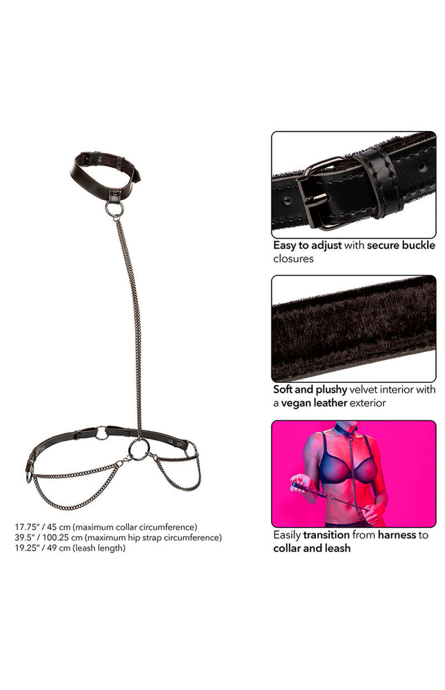 CALEXOTICS - EUPHORIA COLLARE A CATENA E GUINZAGLIO