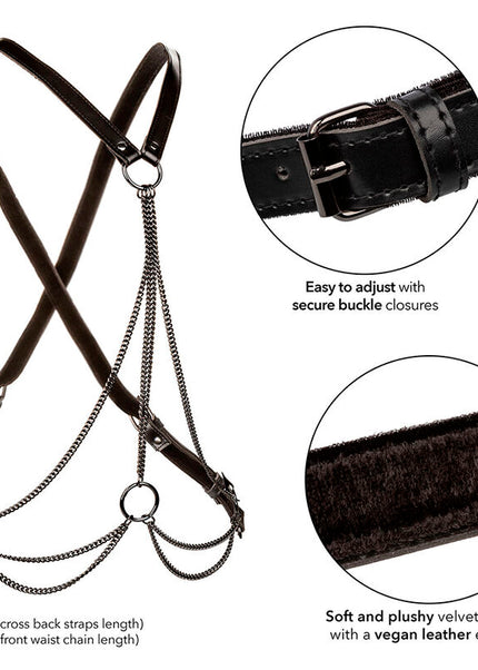 CALEXOTICS - EUPHORIA MULTICHAIN ​​HARNESS PREMIUM