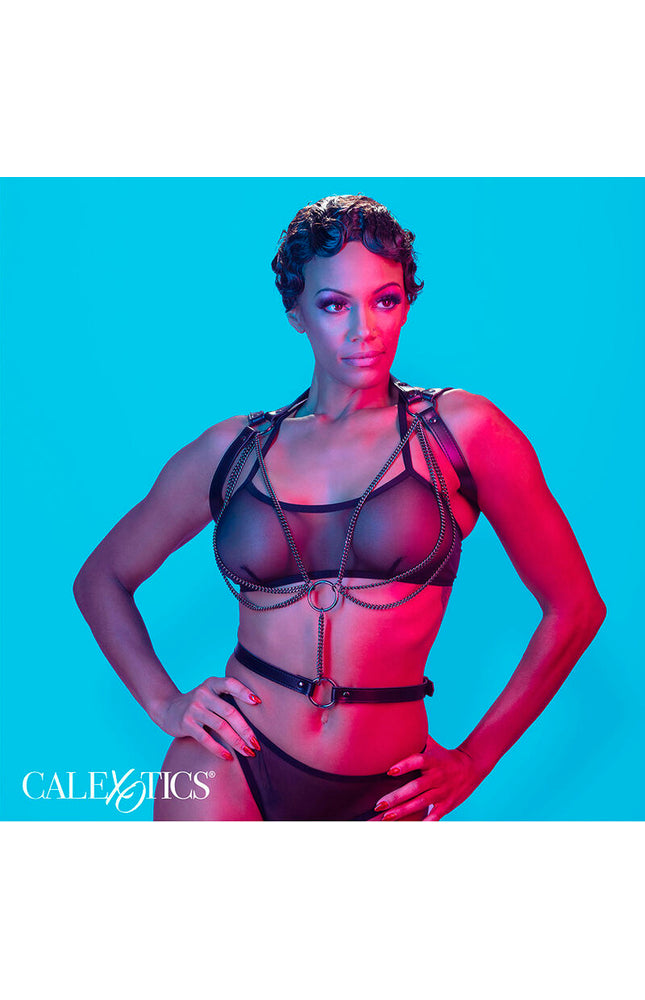 CALEXOTICS - EUPHORIA IMBRACATURA MULTICATENA PREMIUM