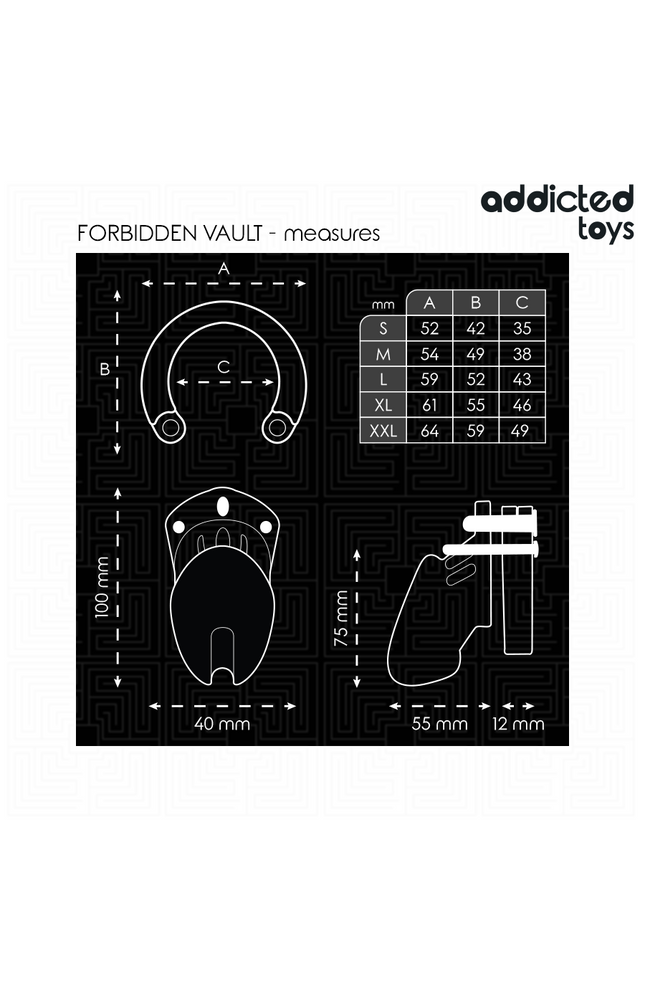 ADDICTED TOYS LOCKED - GABBIA PER PENE FORBIDDEN VAULT 10 CM