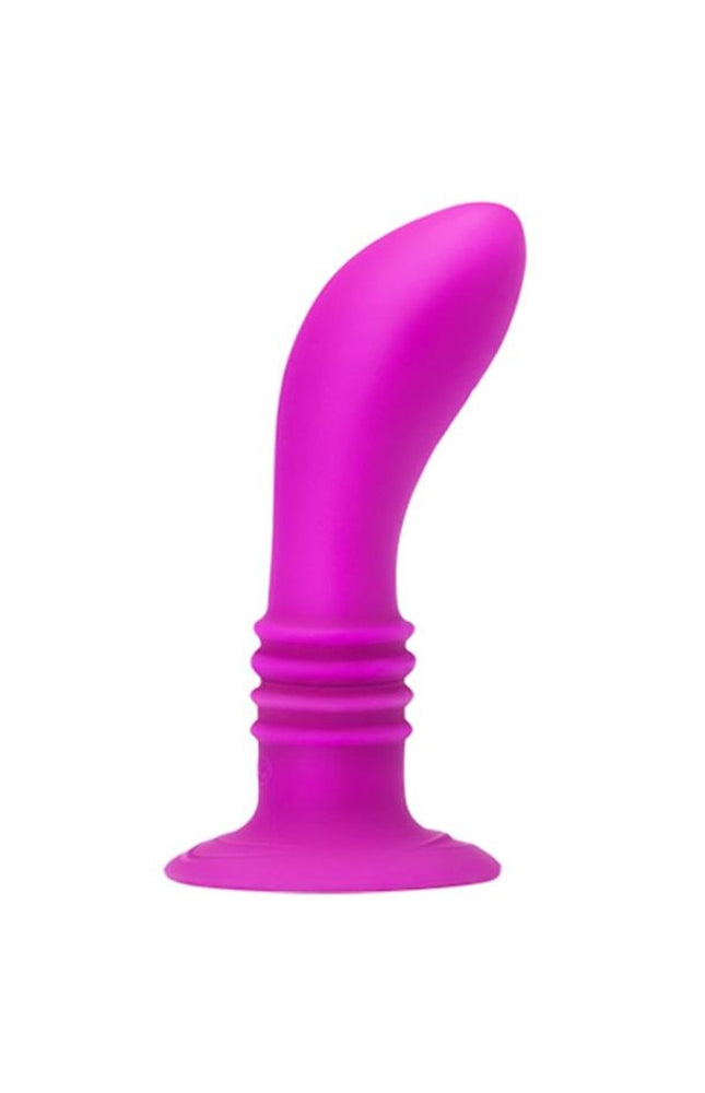 PRETTY LOVE - BOOTY PASSION VIBRATORE PLUG 10V