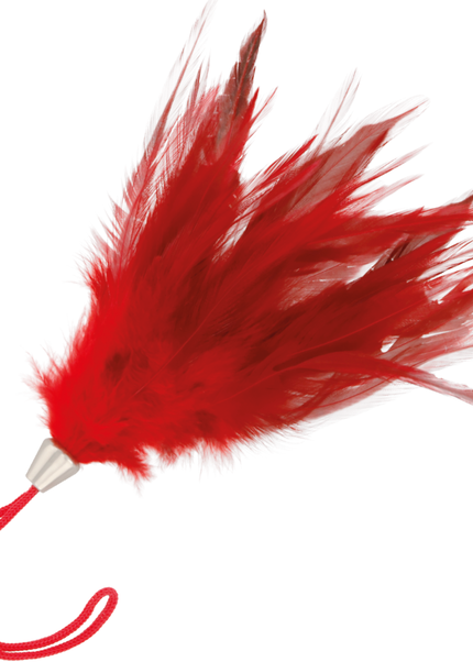 BUIO - PENNA STIMOLANTE ROSSA 17CM