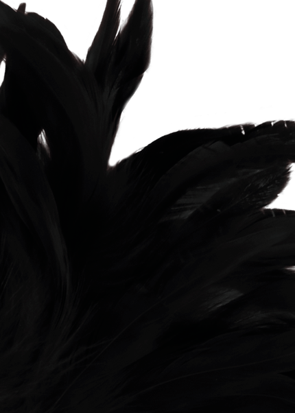 BUIO - PENNA STIMOLANTE LUX NERA