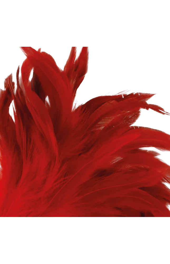 DARKNESS - PENNA STIMOLANTE ROSSA 24CM