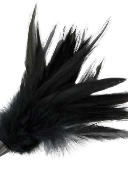 TENEBRE - FRUSTA DI PIUME NERE